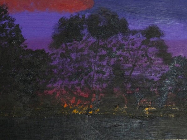 Jacaranda Sunset