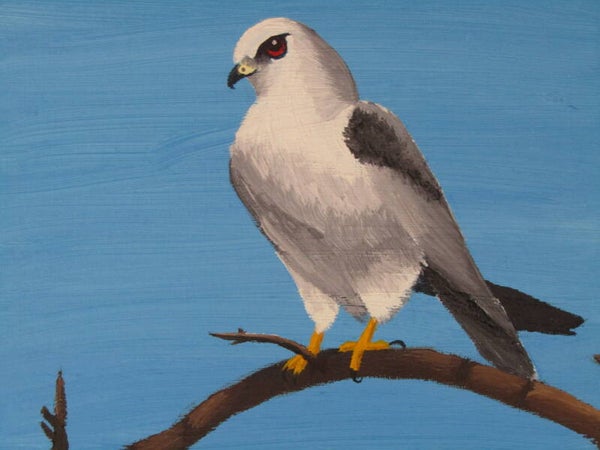 Kite in Blue
