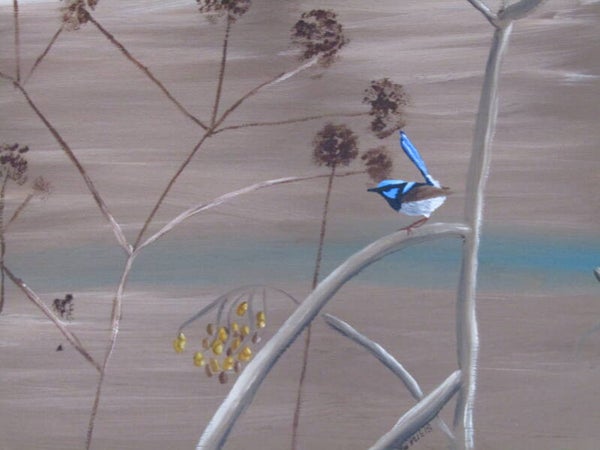 Wren in Dry Light