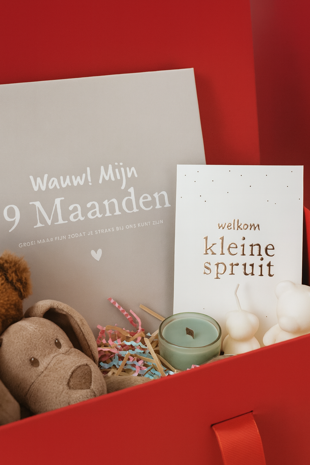 Gender Reveal Xl Box