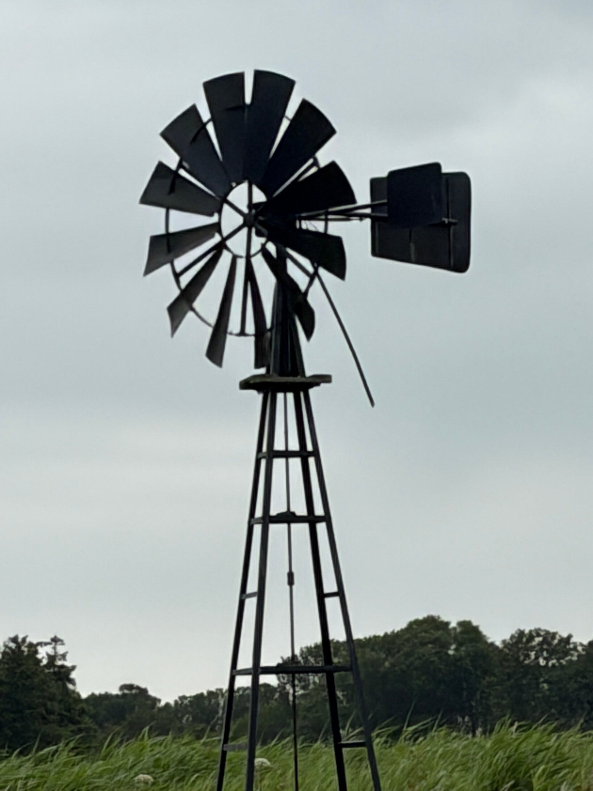 img_0741-standard.jpg