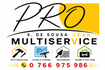 Mutilservice Salgado De Sousa Jean