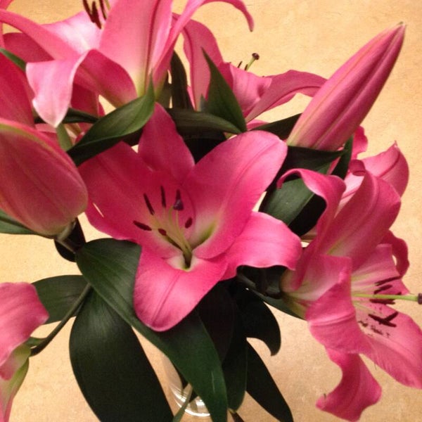 Woning reinigen op afstand