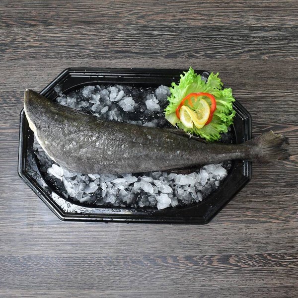 Black Cod - Kohlenfisch - Küchenfertig