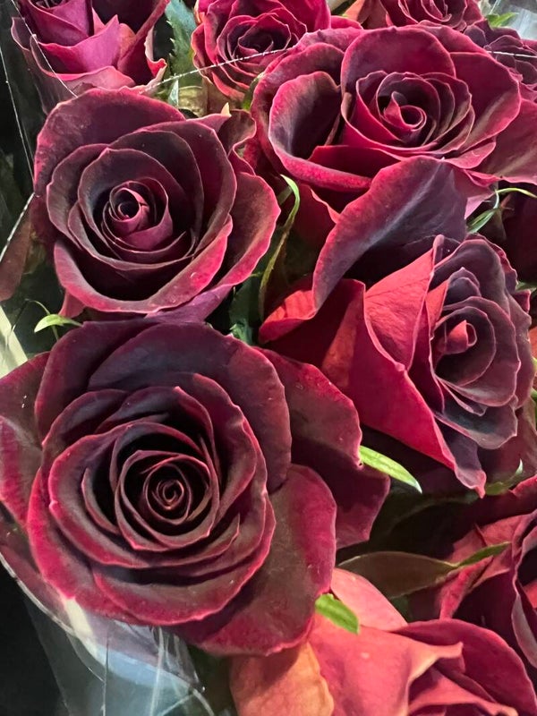Red spray roses