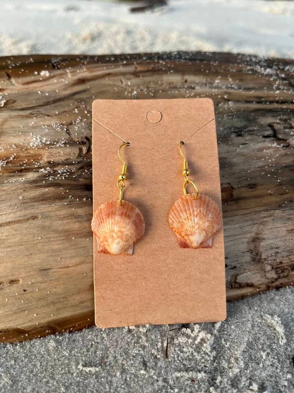 Calico scallop shell earrings