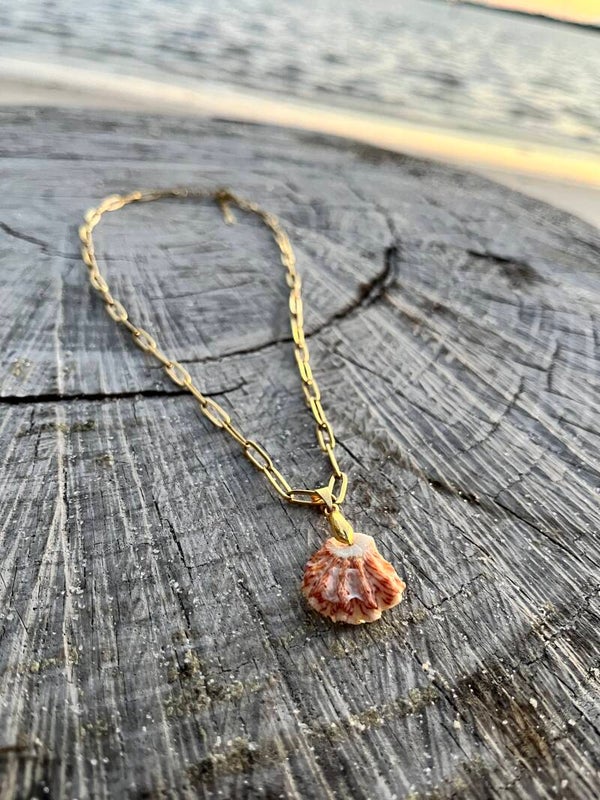 Kitten paw seashell necklace
