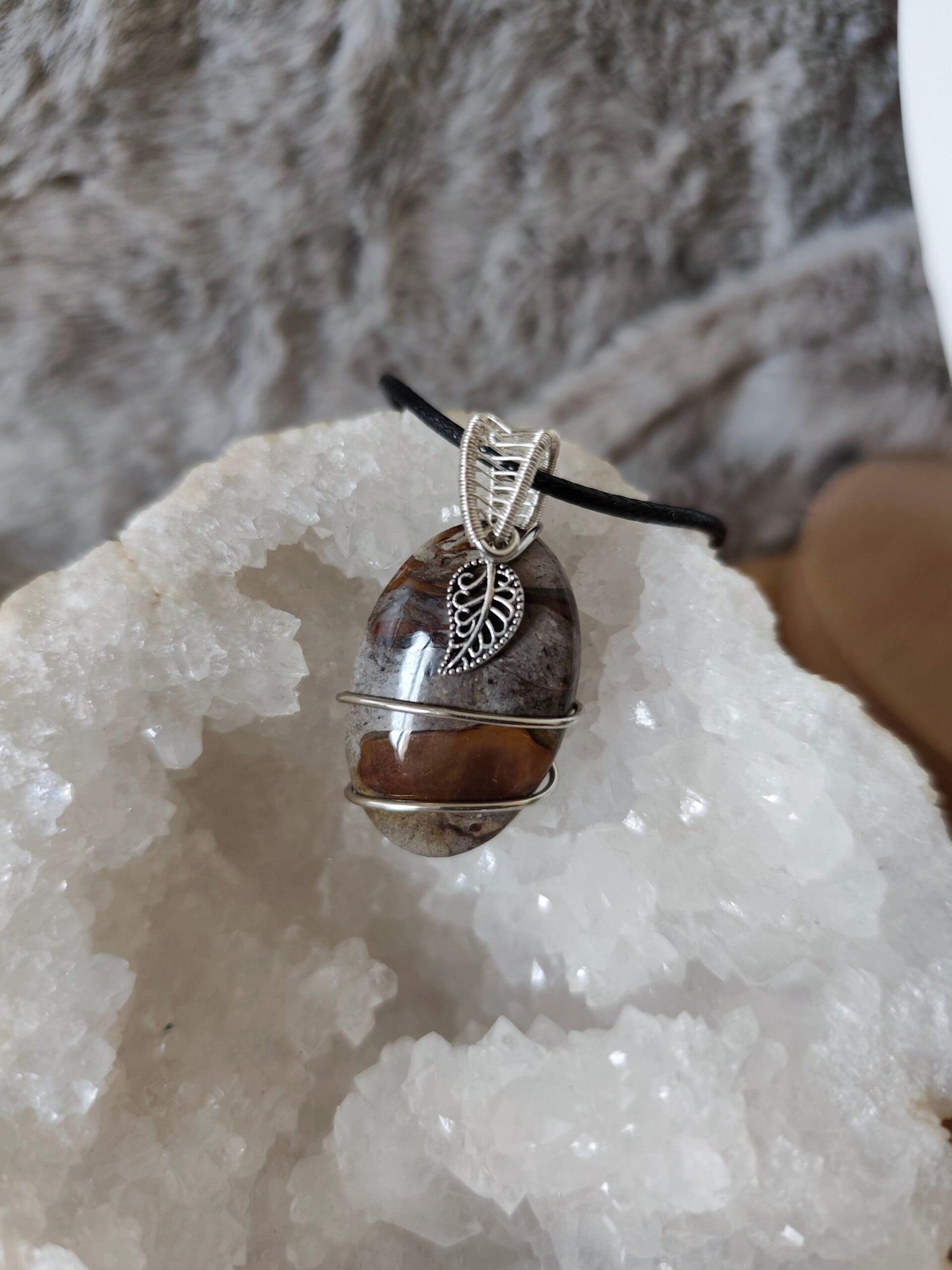 Sylvéria | Bois Fossilisé