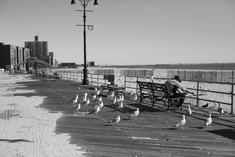 l’homme aux oiseaux