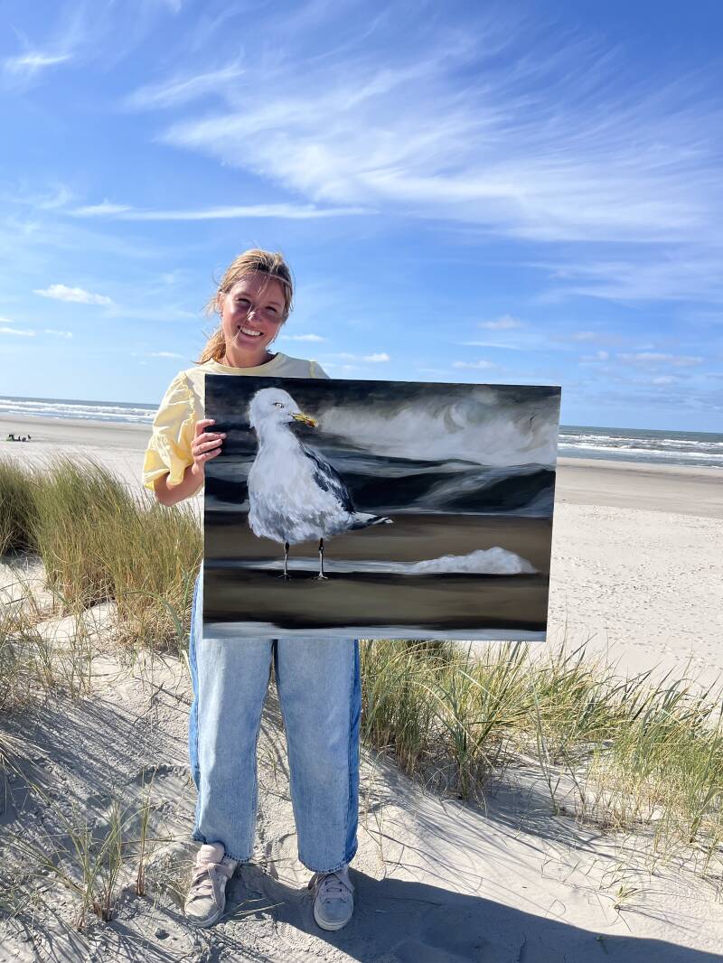 Ameland zeemeeuw