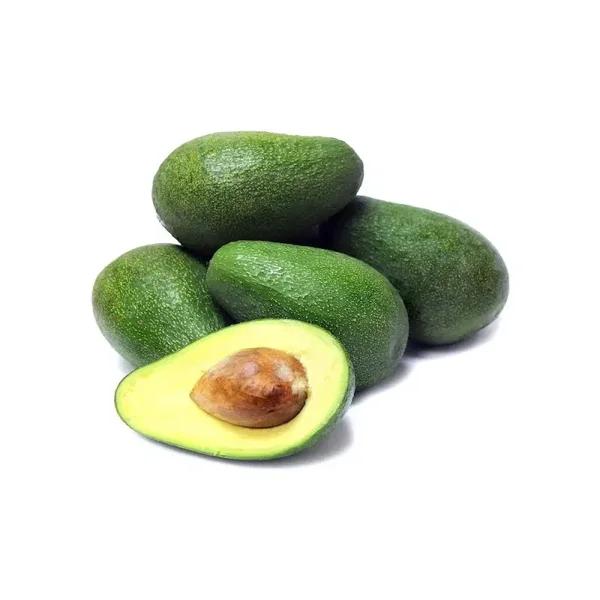 AVOCADO SEMIL 34 boxes of 11K