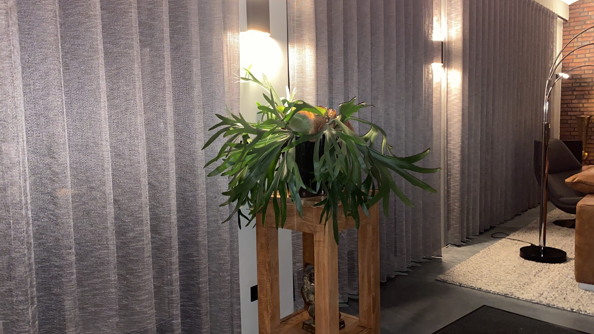 Gordijnen in een sfeervol interieur met een plant