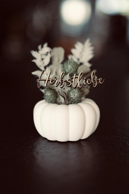 Kürbis mit Trockenblumen