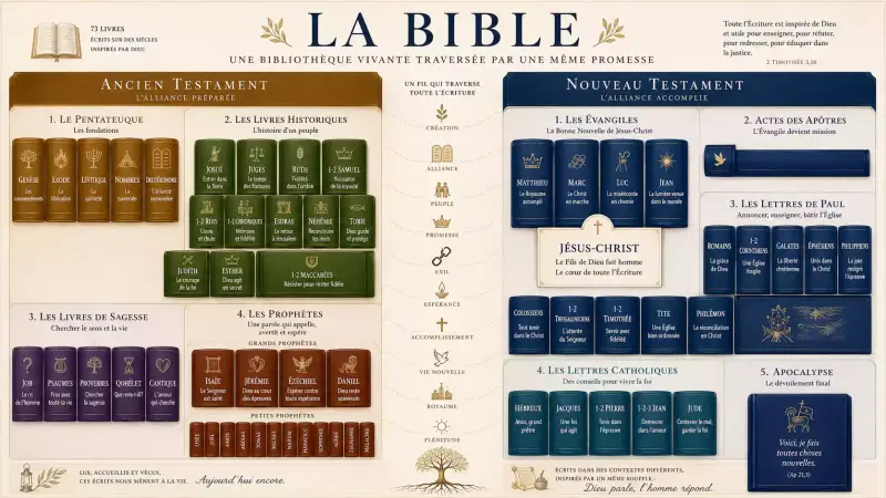 Infographie présentant l'organisation de la Bible : les livres de l'Ancien et du Nouveau Testament, leurs grandes familles et le fil conducteur de l'histoire du salut qui conduit à Jésus-Christ.