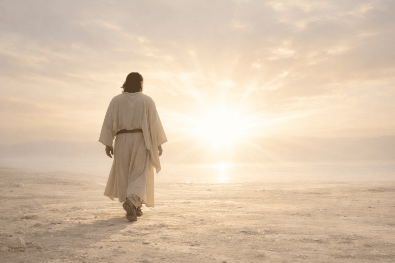 Silhouette de Jésus de dos marchant vers une lumière blanche et dorée sur un paysage minimaliste, évoquant la révélation intérieure et la question « Qui est Jésus ? ».
