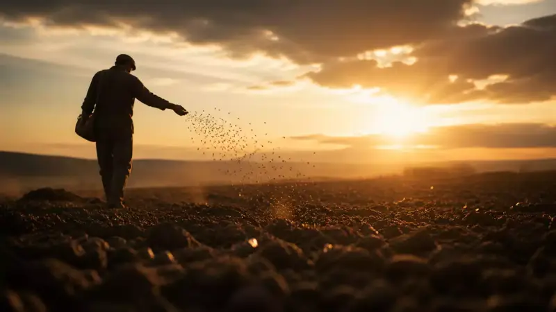 Semeur dispersant des graines dans un champ au coucher du soleil, image inspirée des paraboles de Jésus sur le Royaume de Dieu