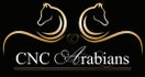 CNC Arabians