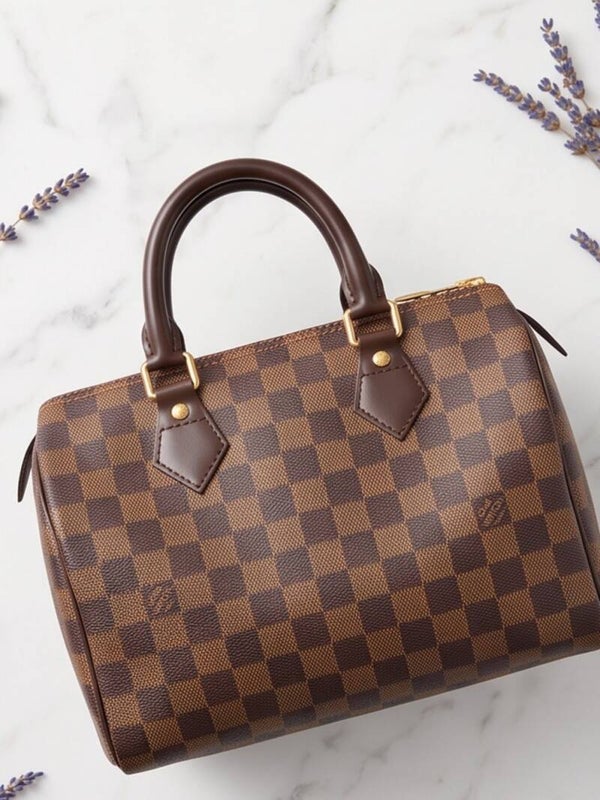 Louis Vuitton Speedy 25 Damier Ebene Canvas Handbag
