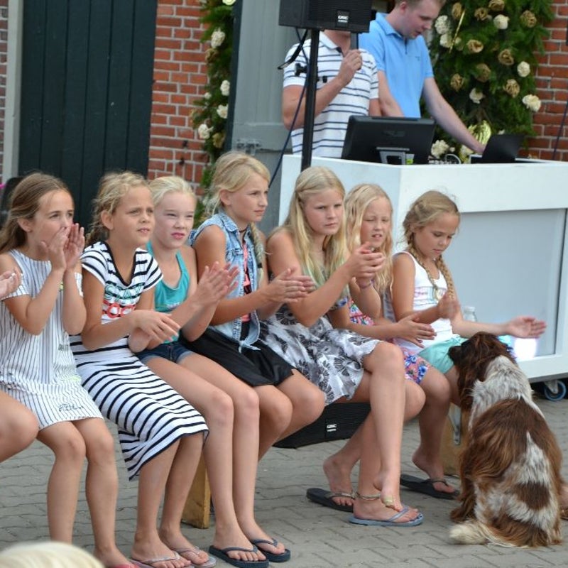 DSC_0407_resized-1.jpg