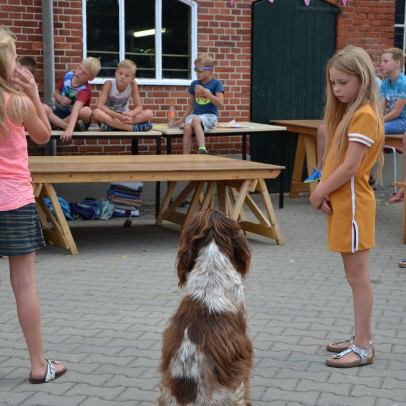 DSC_0483_resized-1.jpg