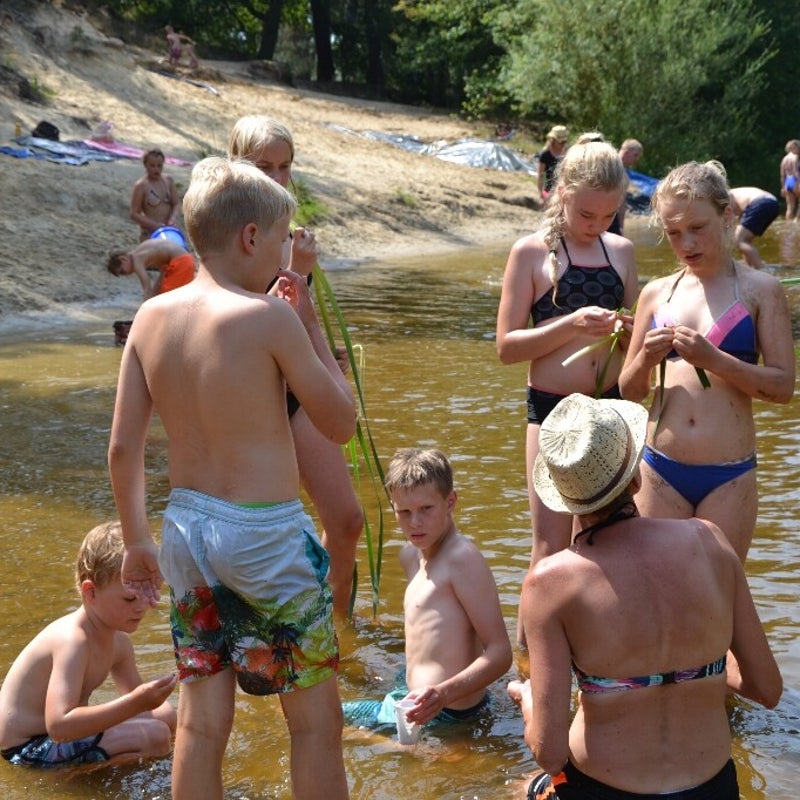 DSC_0111_resized-3.jpg