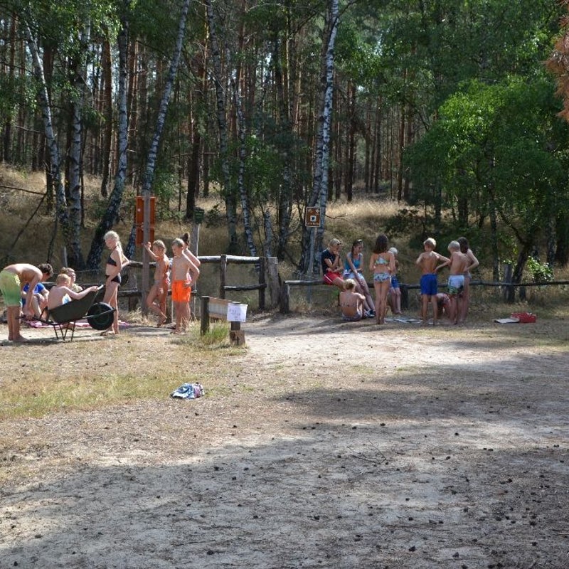DSC_0140_resized-1.jpg