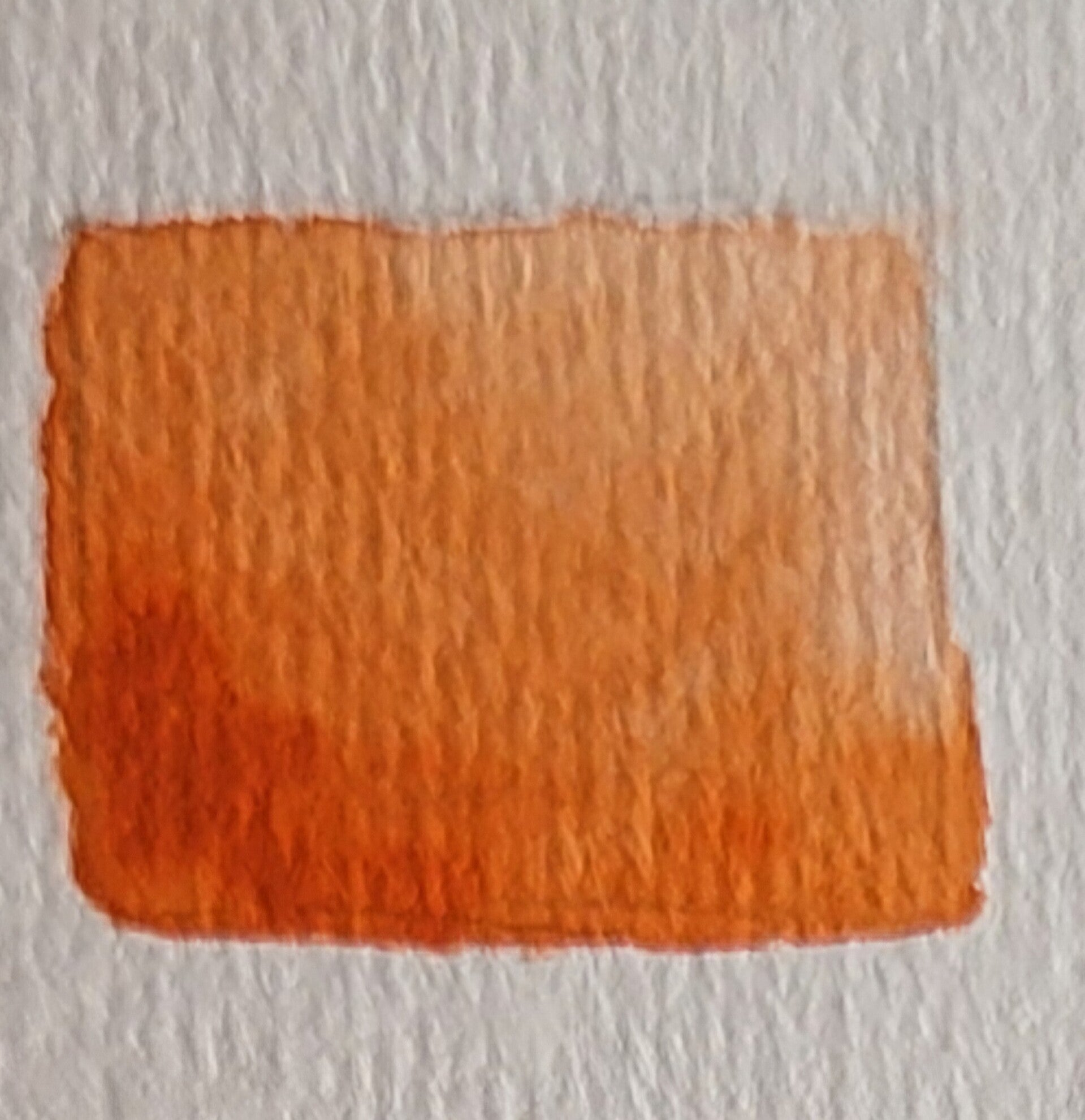 "Capucine" - Aquarelle artisanale extra-fine et végane