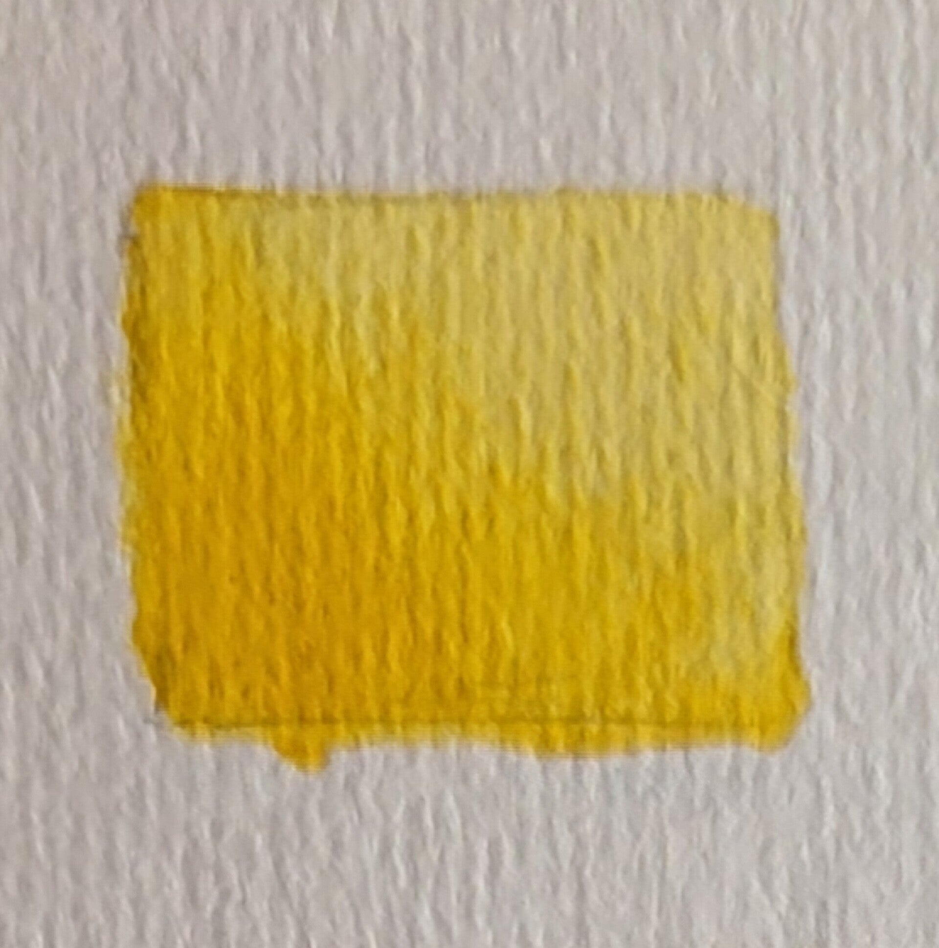 "Jonquille" - Aquarelle artisanale extra-fine et végane