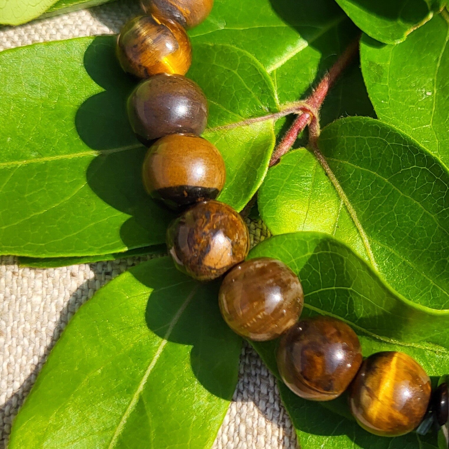 "Simplissime" - Bracelet Œil de tigre