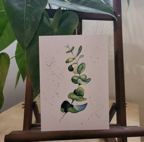 Eucalyptus - Carte illustrée