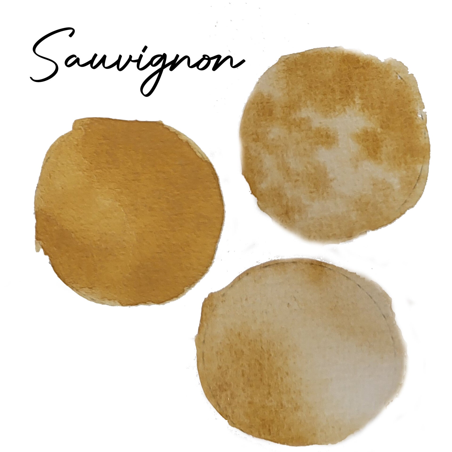 "Sauvignon" - Aquarelle artisanale extra-fine et végane
