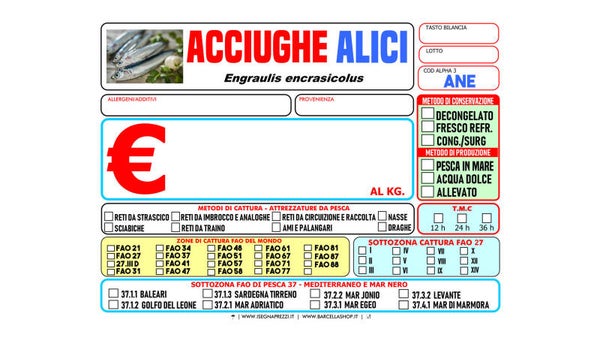 KIT 150 CARTELLINI FORMATO 13,5X9,5 PVC DA 0,6MM