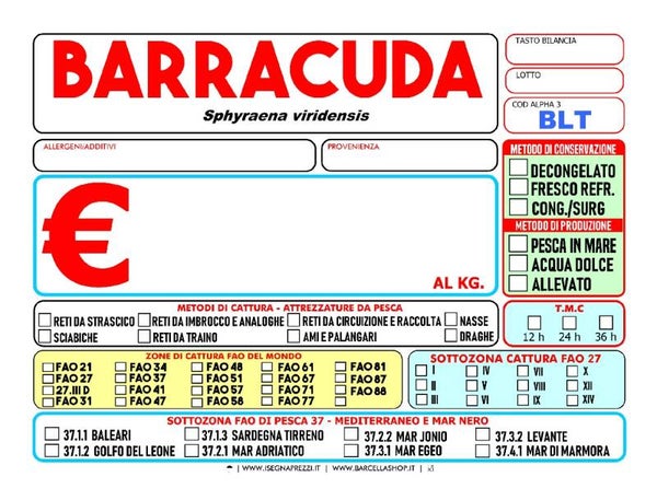 BARRACUDA
