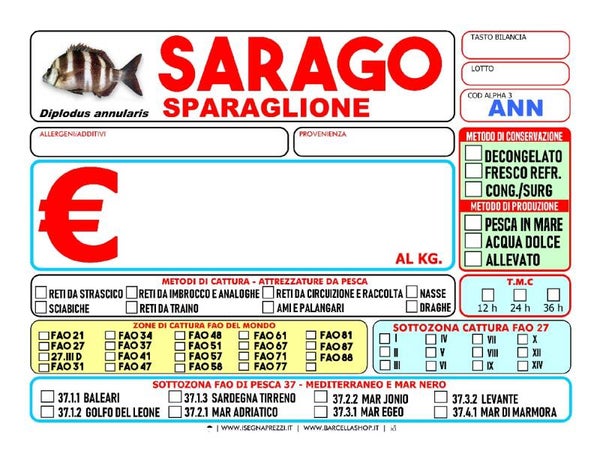 SARAGO SPARAGLIONE