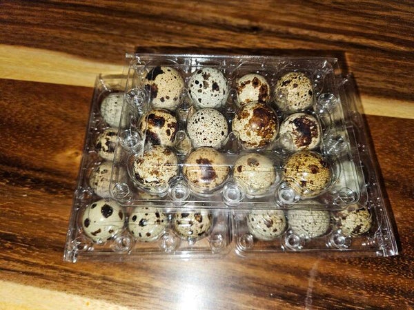 Dozen fresh eggs