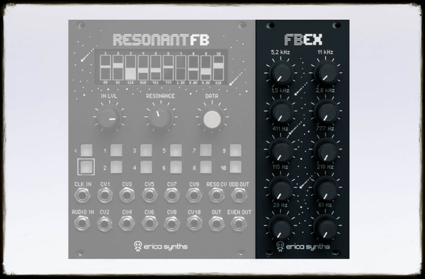 Erica Synths Graphic Series - Resonant FB Expander