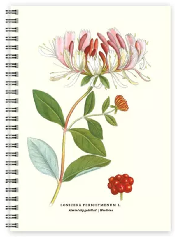 Cahier A5 Chèvrefeuille des Bois