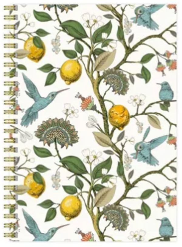 Cahier A5 Colibri Blanc