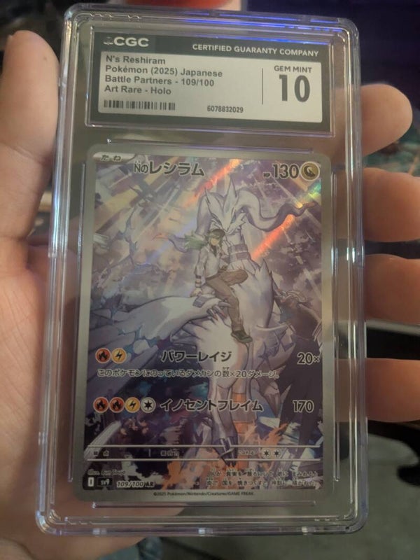 Sports & Collective Cards