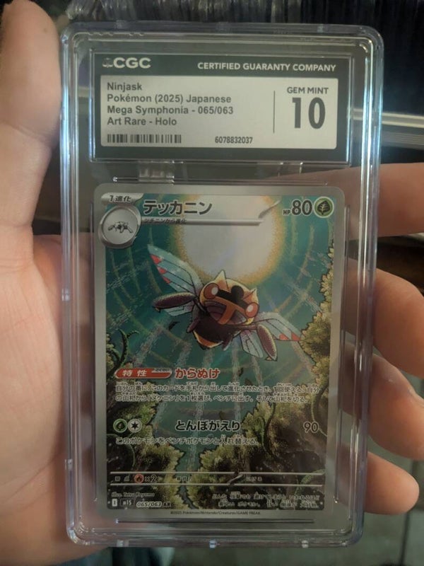 Sports & Collective Cards