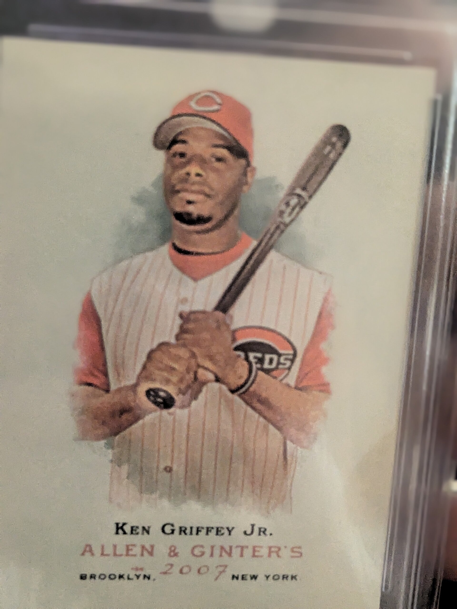 Sports & Collective Cards