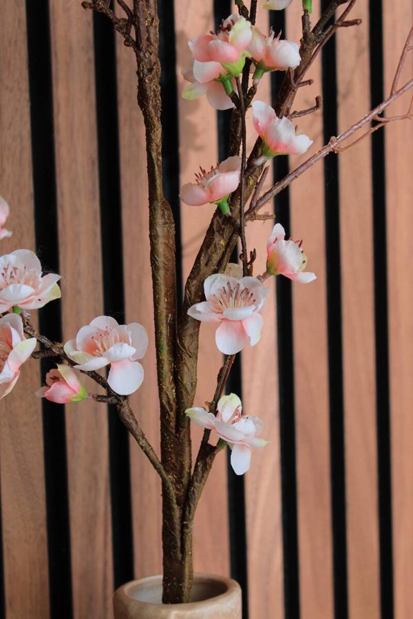 Pinky Blossom