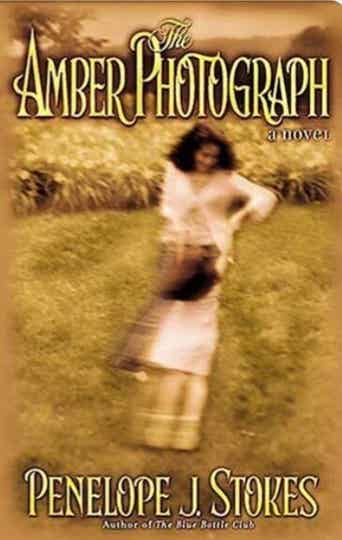 Amber Photograph by Penelope J. Stokes. 357 pages, Paperback