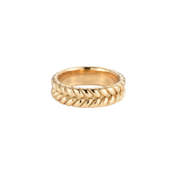 Ring Evi