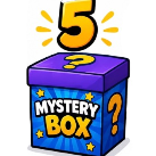 MYSTERY BOX 5 SHOES