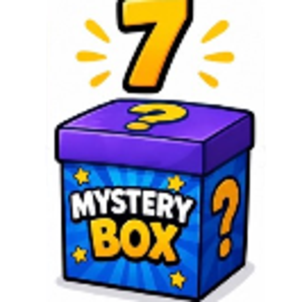 MYSTERY BOX 7 SHOES