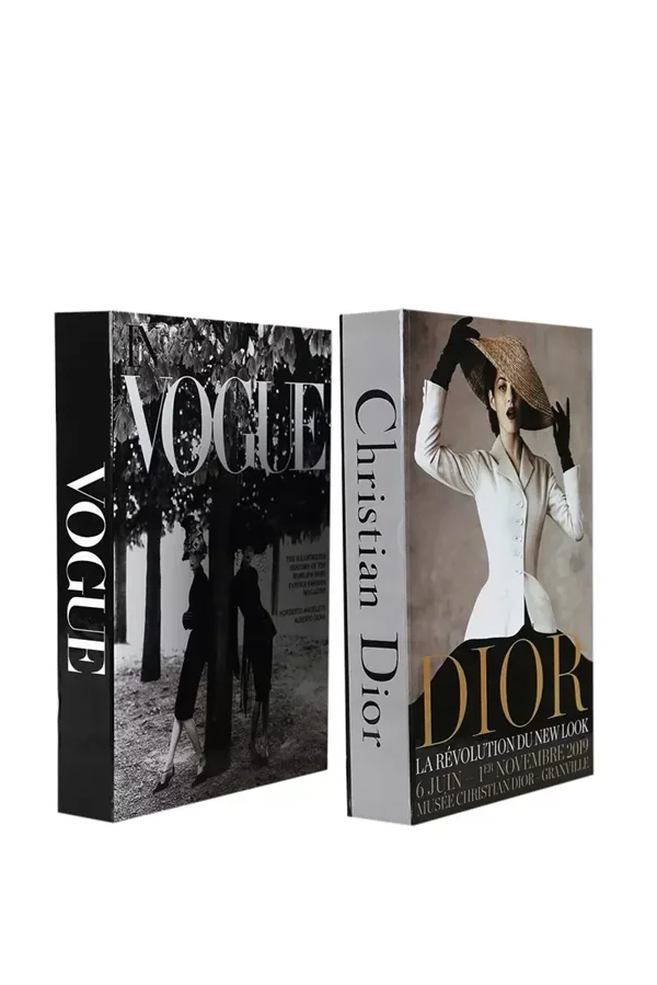 Livres décoratifs lot de 2