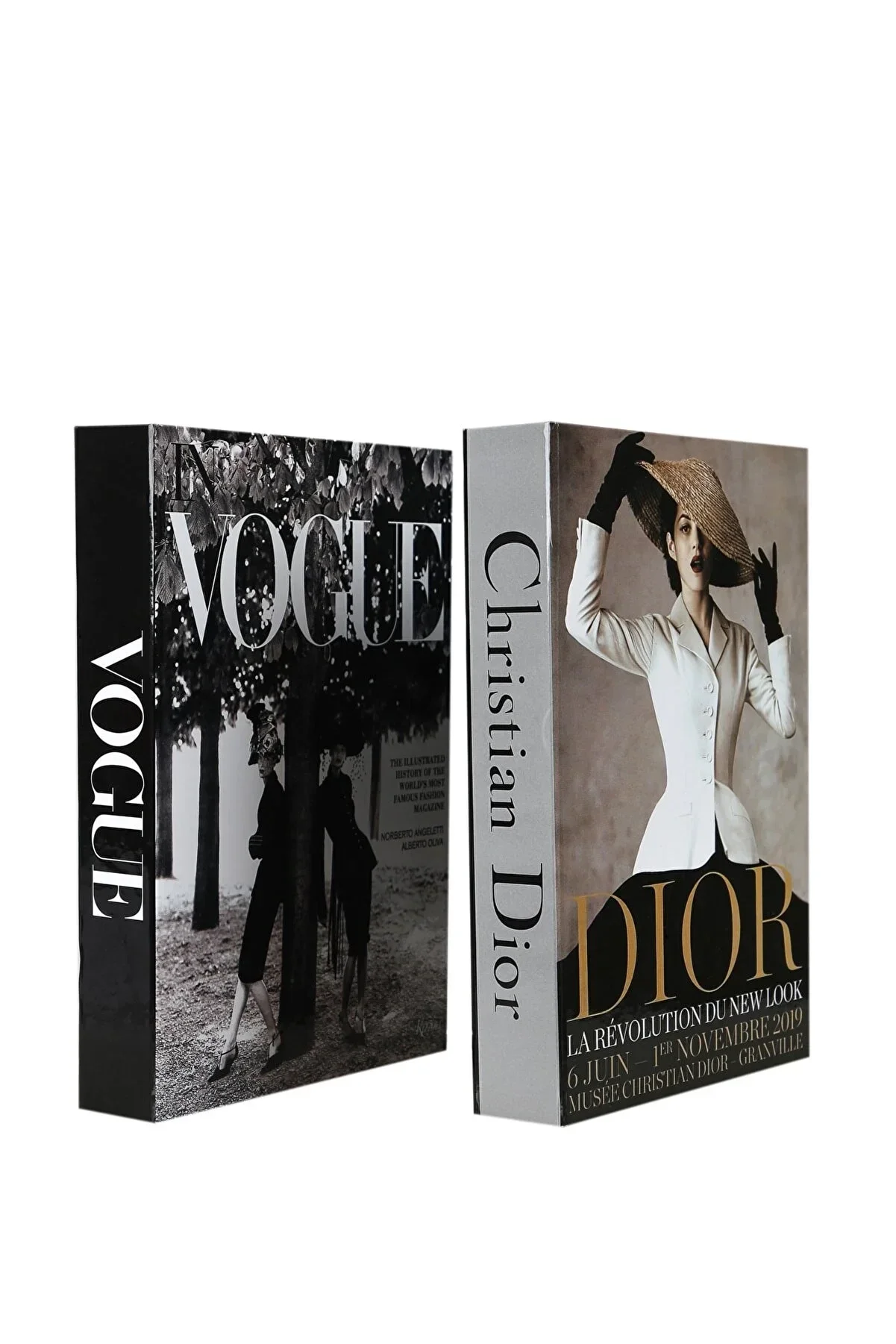 Livres décoratifs lot de 2