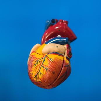 What is Silent Heart Attack | Edmonton, Alberta