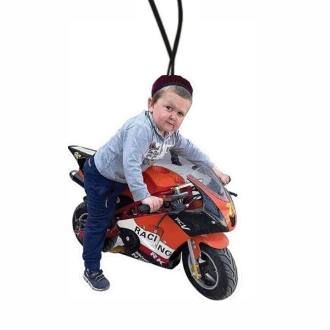 HASBULLA AIR FRESHER!🫐